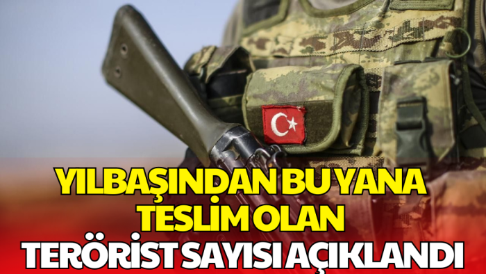 Milli Savunma Bakanlığı Açıkladı: 1 Ocaktan Bu Yana 35 Terörist Teslim Oldu